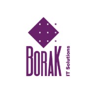 Borak logo - Similar company to Borak It
