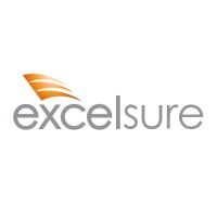 Excelsure Insurance Services logo - Similar company to Accelsure Partners