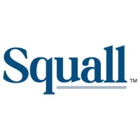 Squall Inc. logo - Similar company to Maximum Music Dj Service