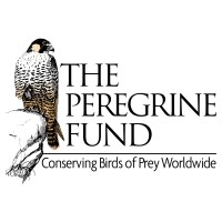 The Peregrine Fund logo - Similar company to Raptor Research Foundation