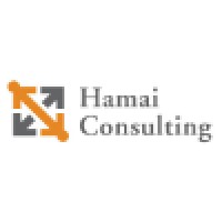 Hamai Consulting logo - Similar company to Wncsource