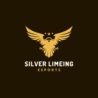Silver Limeing logo - Similar company to Class Updates