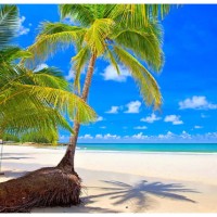 Tranquil Trails Travel logo - Similar company to Dreamscape Destinations