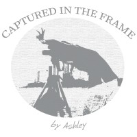 Captured in the Frame by Ashley logo - Similar company to Btig