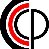 IDC Crime, Criminology & Criminal Policy logo - Similar company to Bigdatpol