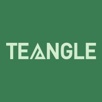 Teangle logo - Similar company to M0851