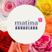 Matina Flowers S.A.S. logo - Similar company to Fatco S.A.S.