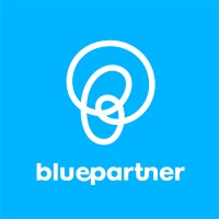 BluePartner Soluções em TI logo - Similar company to Marcuswd Servicos Digitais