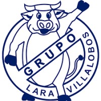 GRUPO LARA VILLALOBOS logo - Similar company to Grupo Lara