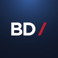BD Consultores logo - Similar company to Flecha Roja Technologies