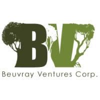 Beuvray Ventures logo - Similar company to Grum Investments
