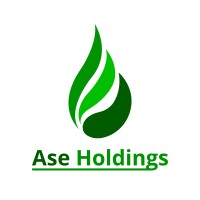 Ase Holdings (Pty) Ltd logo - Similar company to Aio Core