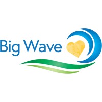 Big Wave Group logo - Similar company to Coney