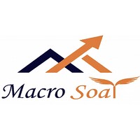 Macro Soar logo - Similar company to Invovision Technologies