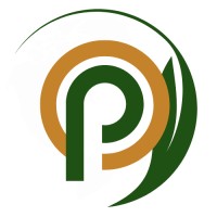 Patagon Projections logo - Similar company to Secure Delivery