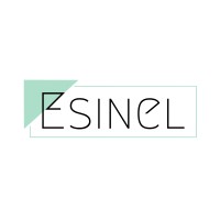 Esinel logo - Similar company to Duam Strategy & Innovation