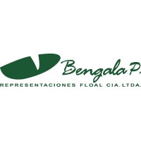 BENGALA PUBLICIDAD logo - Similar company to Representaciones Floal