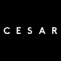 Cesar Kitchens logo - Similar company to Designelementi