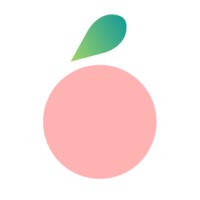 Blossom logo - Similar company to Transcendent Endeavors