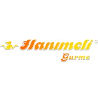 HANIMELI logo - Similar company to Filed