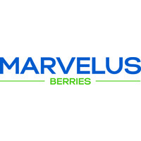 Marvelus Berries logo - Similar company to Regenwa