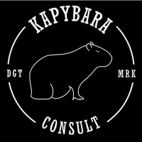 Kapybara Consult logo - Similar company to Kapybara Tech