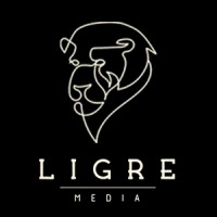 LigreMedia logo - Similar company to Lb Audio
