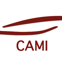 Center for Automotive and Mobility Innovation CAMI logo - Similar company to Desution