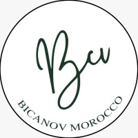 BICANOV logo - Similar company to Beca Optimal