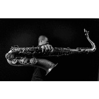 EVENT-SAXOPHONIST logo - Similar company to Professional Saxophonist