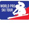 World Pro Ski Tour logo - Similar company to Mcnerney Financial