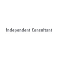 Consultant I Mentor I Non Executive Director logo - Similar company to Excellencia Limited