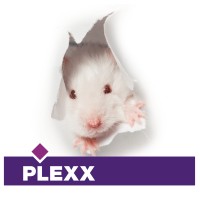 Plexx B.V. logo - Similar company to Datesand