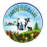 Yellitaare logo - Similar company to Soluforme Suarl