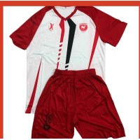 Binga Football Club logo - Similar company to The Football Amateur Show