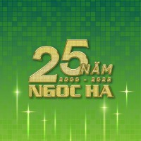 Ngoc Ha Group logo - Similar company to Songthang