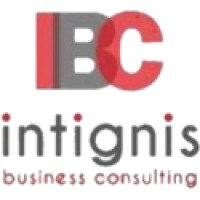 Intignis Business Consultancy logo - Similar company to Virtugrow Digital