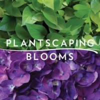 Plantscaping & Blooms logo - Similar company to Themodularway