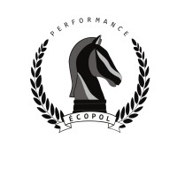 AEEPUM (Association des étudiants en économie et politique de l'Université de Montréal) logo - Similar company to Aéspéium