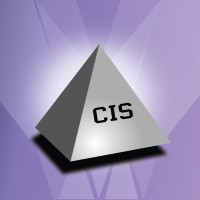 Corporate Information Systems