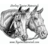 Sterling Equine Appraisals logo - Similar company to Subcom Bv