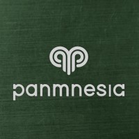 Panmnesia logo - Similar company to Fadu