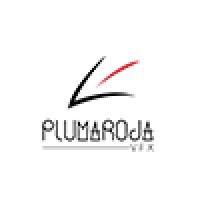 Pluma Roja VFX logo - Similar company to Steady | In Lab