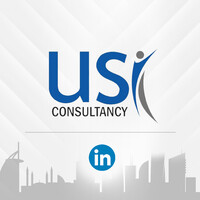 USI Consultancy logo - Similar company to Value Ace