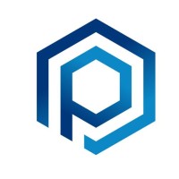 PULSOC Angola logo - Similar company to Pulsec Sa