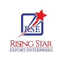 Rising Star Export Enterprises logo - Similar company to Shree Balram Agro Food Industries Private Limited