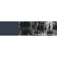 Organisation Dynamics | Organisational Consulting logo - Similar company to Ortalex