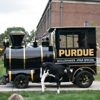 Purdue Dairy Club logo - Similar company to Chieftain - Rya & Stcw Training Centre