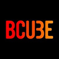 BCube logo - Similar company to Setonix