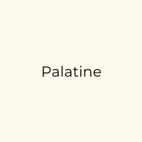 Palatine logo - Similar company to Medipath International